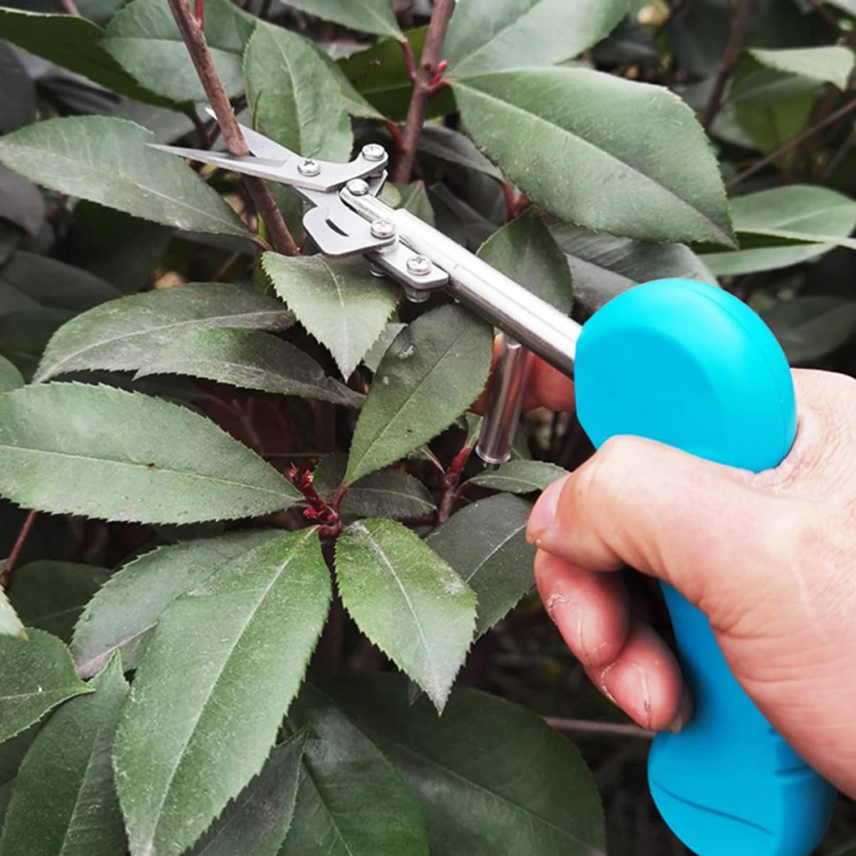 Kisangel 5 Stücke Gartenschere Obst Zweig Trimmer Gartenschere Für Pflanzen Beschneiden Garten Pruner Garten Werkzeug
