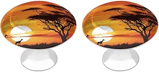 2 Pack Cabinet Knobs Round Drawer Pulls Funny African Sunset Dresser Knob Cupboard Door Handles Hardware for Kitchen Bathroom Cabinets