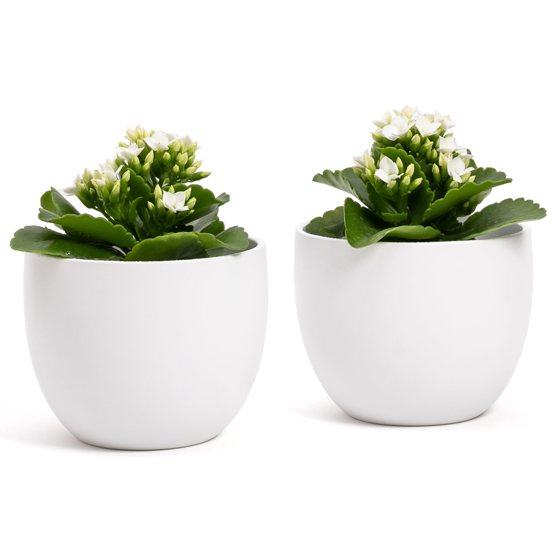 Elegante jarrón de Terracota | Blanco Mate | para Interior o Exterior | D.12,5 cm - H.13 cm | Maceta Decorativa Moderna para Plantas, Flores, Plantas suculentas, orquídeas, Sansevieria (2 x – Ø 12,5