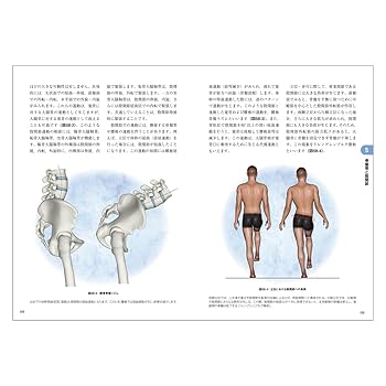 解剖学・運動学・生理学など ファンクショナルアナトミー 身体運動の機能解剖学 | 山崎 敦