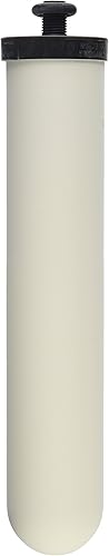 Doulton Ultracarb - Vela con filtro de agua de 10 pulgadas, paquete de 4 (W9123053)