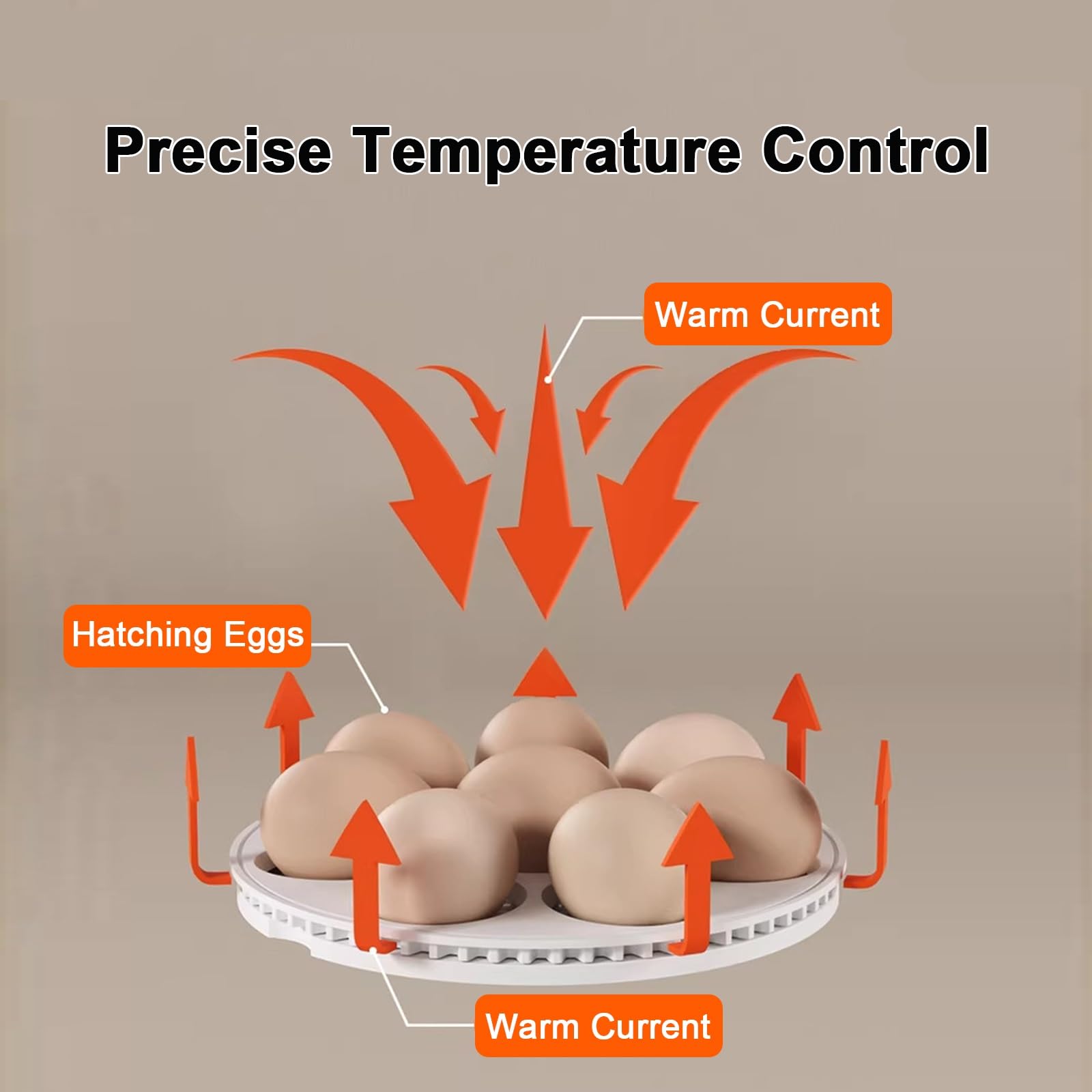 Incubadora de huevos con volteador automático, control de humedad, regulación de temperatura, recarga automática de agua para incubar huevos de pollo, codorniz, pato, ganso y pájaro