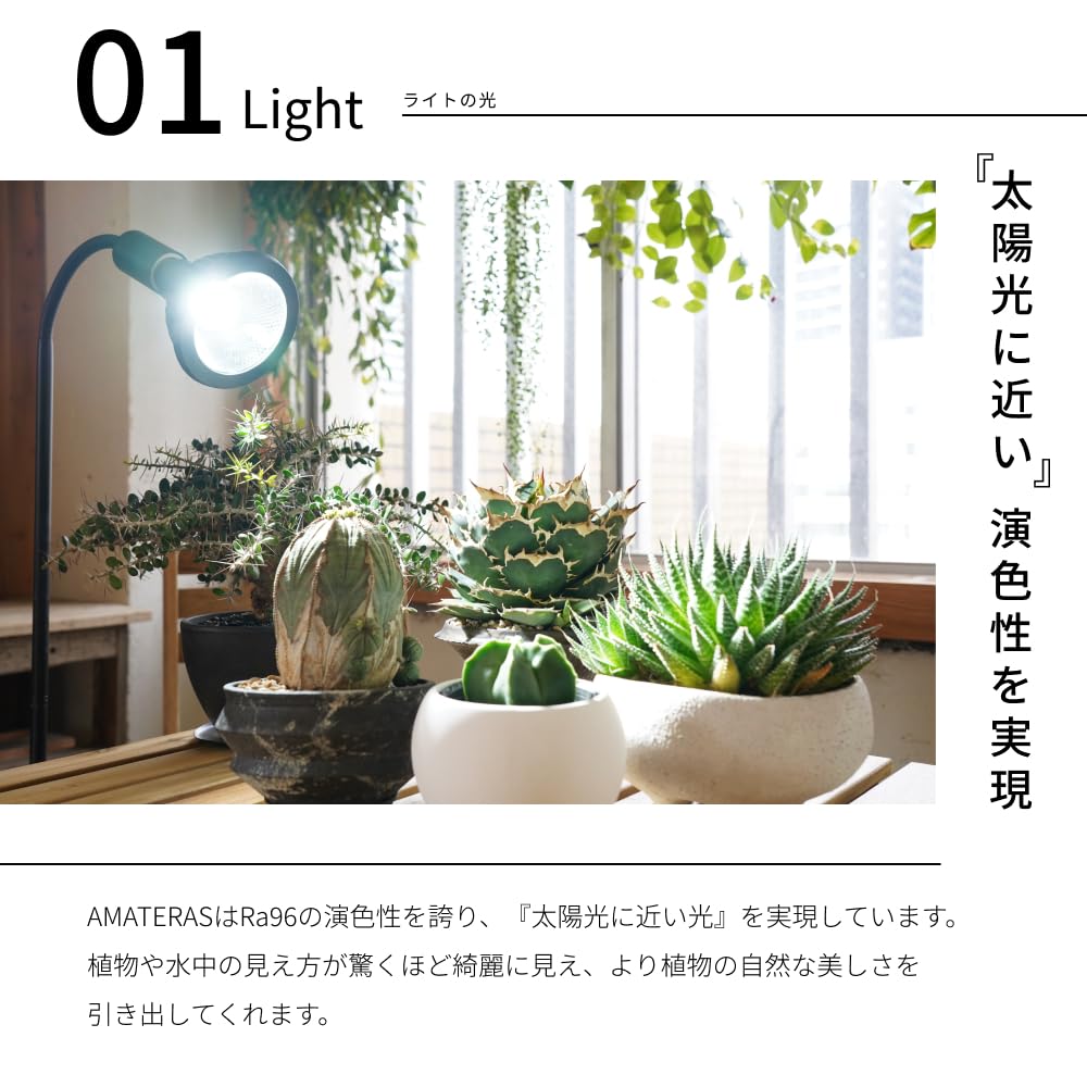 Amazon.co.jp: 【BARREL公式】植物育成LEDライト NEO AMATERAS-20W