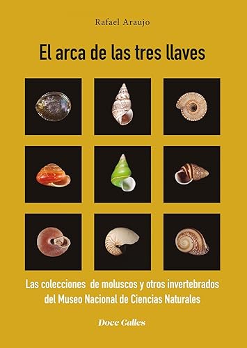 EL ARCA DE LAS TRES LLAVES: Las colecciones de moluscos y otros invertebrados del Museo Nacional de Ciencias Naturales: 40 (Regina Sánchez Parra)
