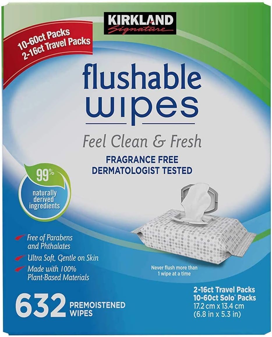 Charmin Flushable Wipes, 12 packs, 40 Flushable Wipes per