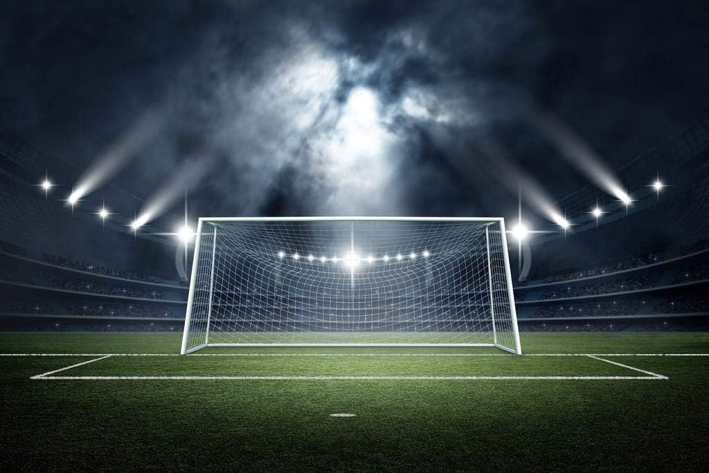 Laminated Soccer Goal Stadium Rendering Sports Photo Poster Dry Erase Wall Art 24x36