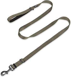 Hyhug Pets Premium Upgraded Adjustable Between 4 Feet and 6 Feet Leash with Sturdy Nylon and Super Soft Neoprene Lined Handle for Small Medium Large Dogs Lead