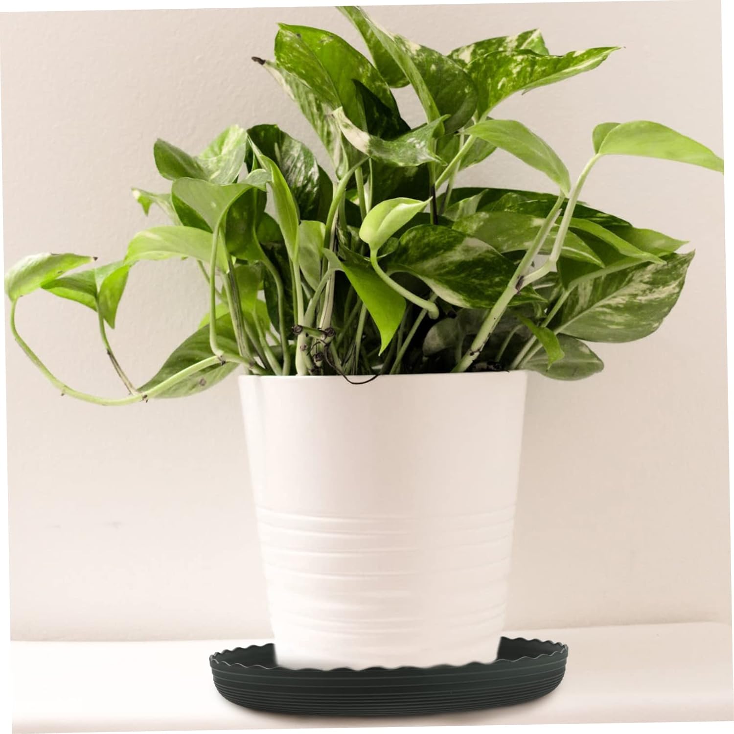 6pcs Water Storage Flower Pot Tray Drain Trays for Plants Home Flowerpot Plate