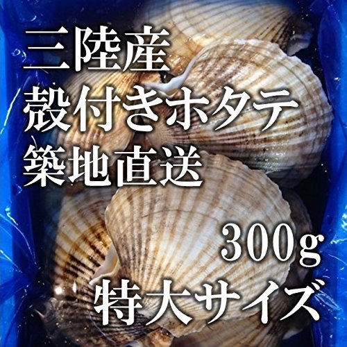 Okawari 活ホタテ 殻付きホタテ 特大サイズ 海鮮 バーベキュー 築地直送 岩手 三陸産 他 BBQ