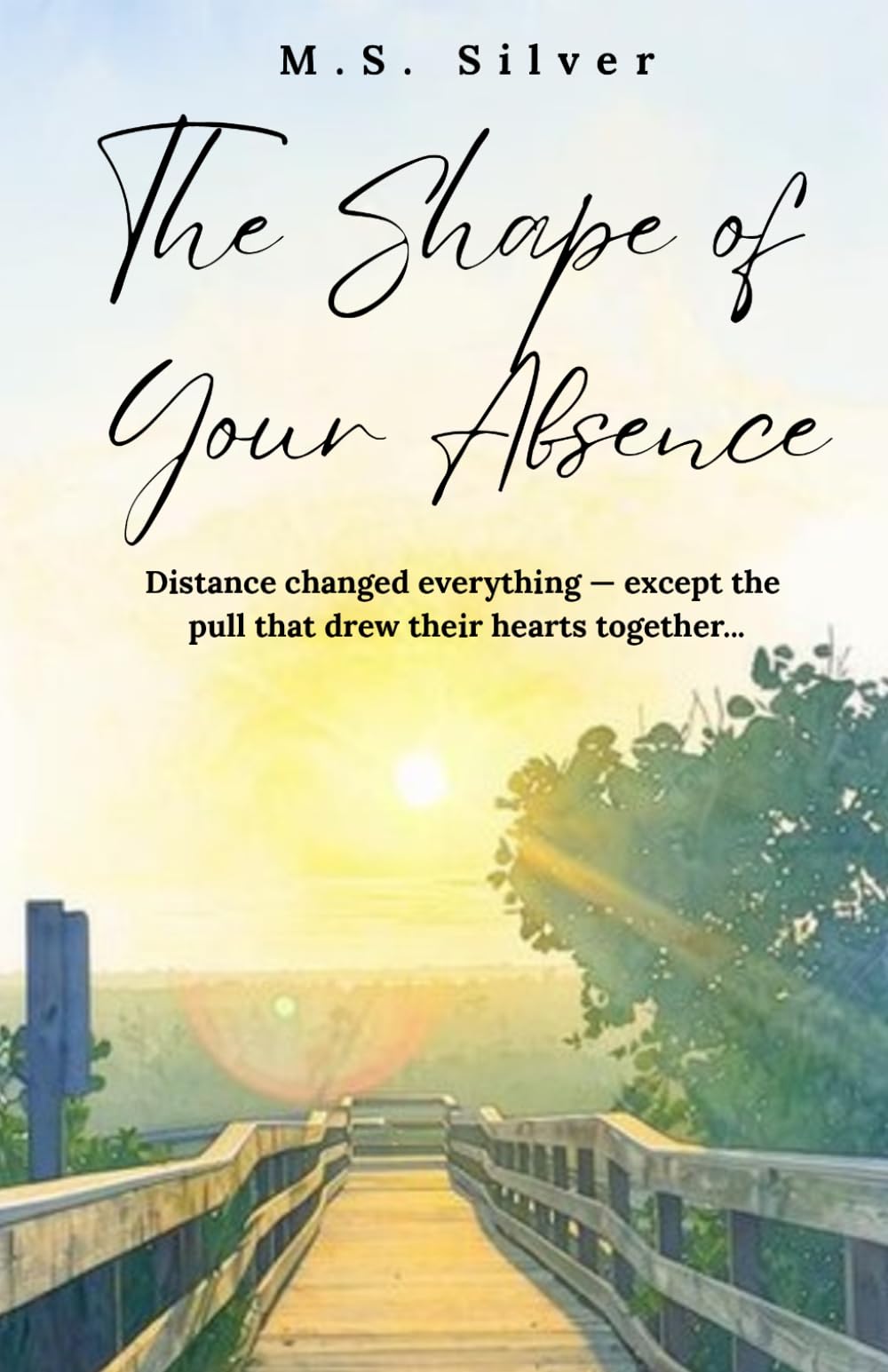 The Shape of your Absence