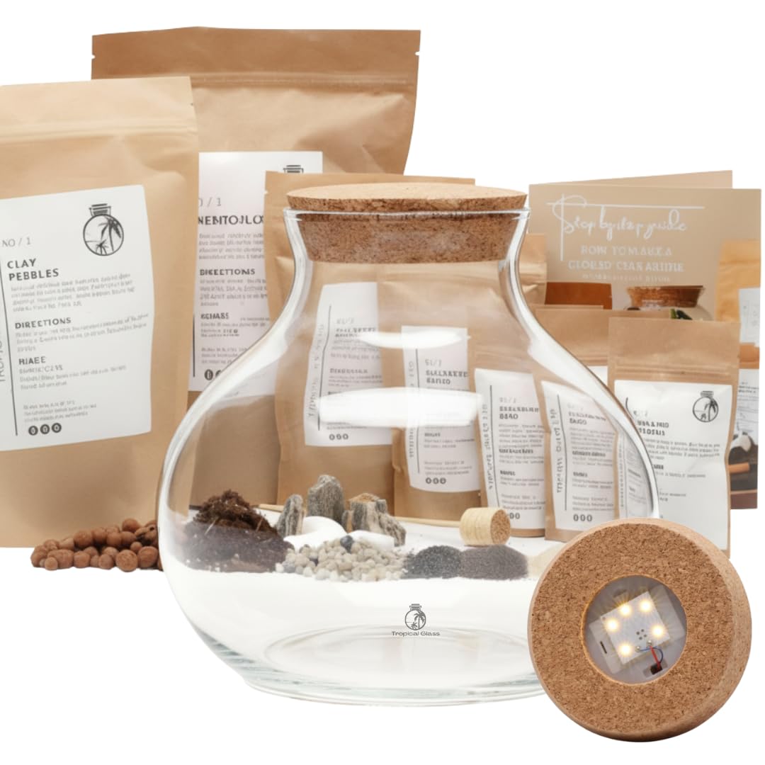 Glass Terrarium Container with Cork Lid, 24 cm High x 26 cm Wide, Hand Blown Clear Glass, Terrarium Jar (with LED Cork Lid, Glass + Starter Kit)