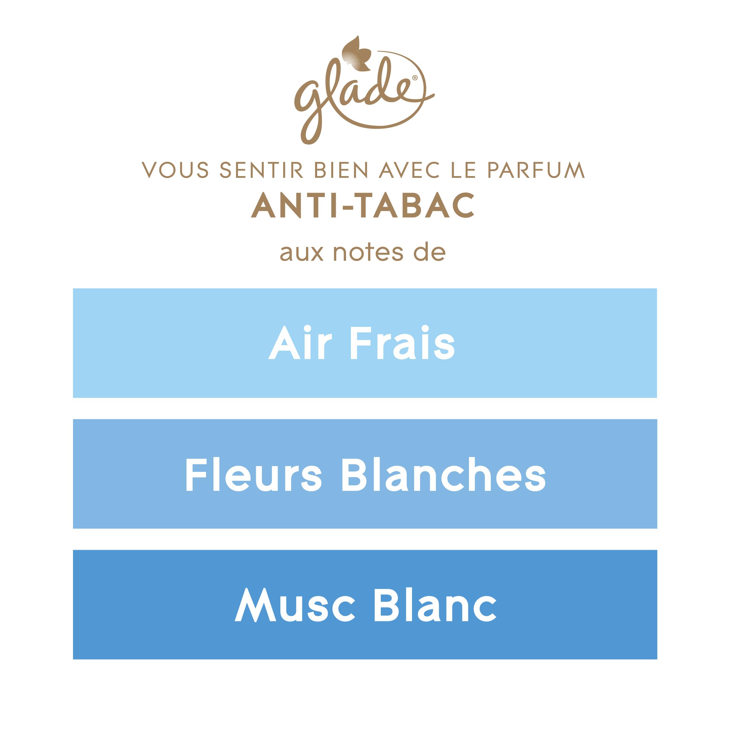 Glade Bougie Vegan Parfum Infusé Huiles Essentielles - Nouvelle Formule Sans Huile De Palme - Anti-Tabac - 6 Bougies