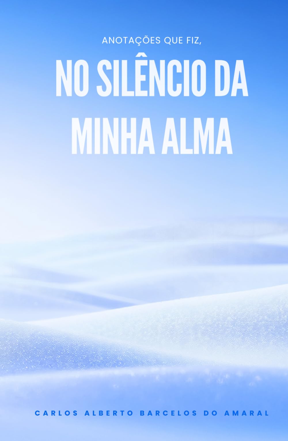 Anotações que fiz, no silêncio da minha alma