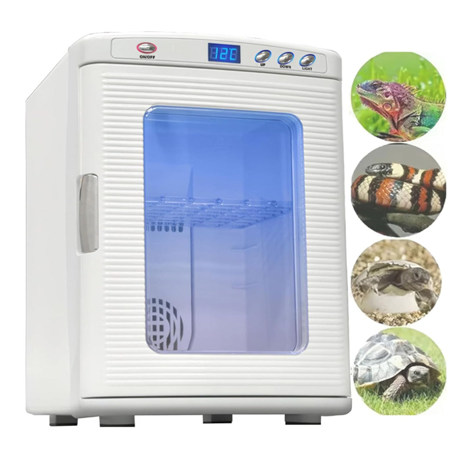 Incubatrice per rettili, incubatrice scientifica da Laboratorio, incubatrice Automatica, Raffreddamento e Riscaldamento da 5°C a 60°C, incubatoio per la Riproduzione di Uova di rettili,White