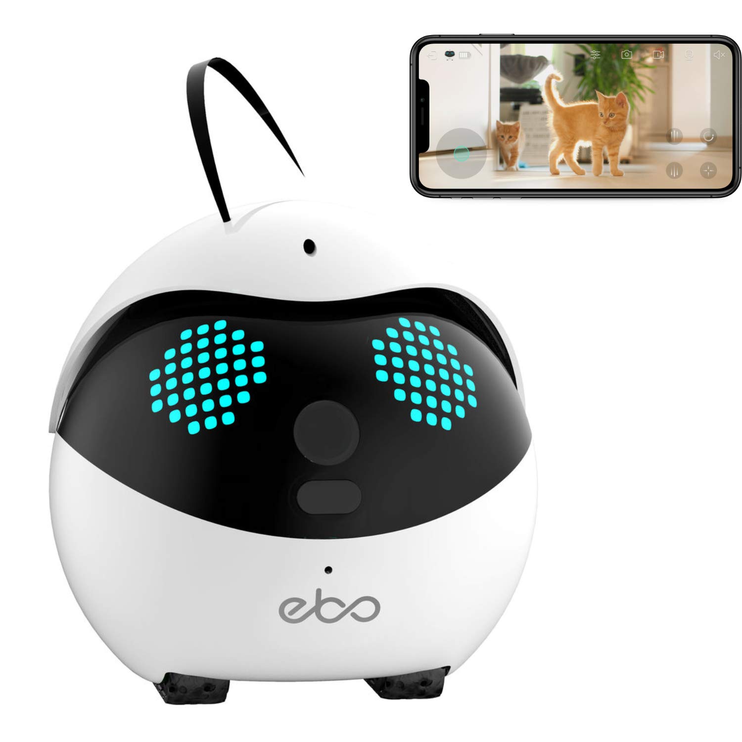 2020 Enabot Ebo Catpal The Smart Robot Companion for Your Cat, Cat Weight Management, Indoor Wired, 24/7 Live Video, 1080p HD, WiFi, 2-Way Talk