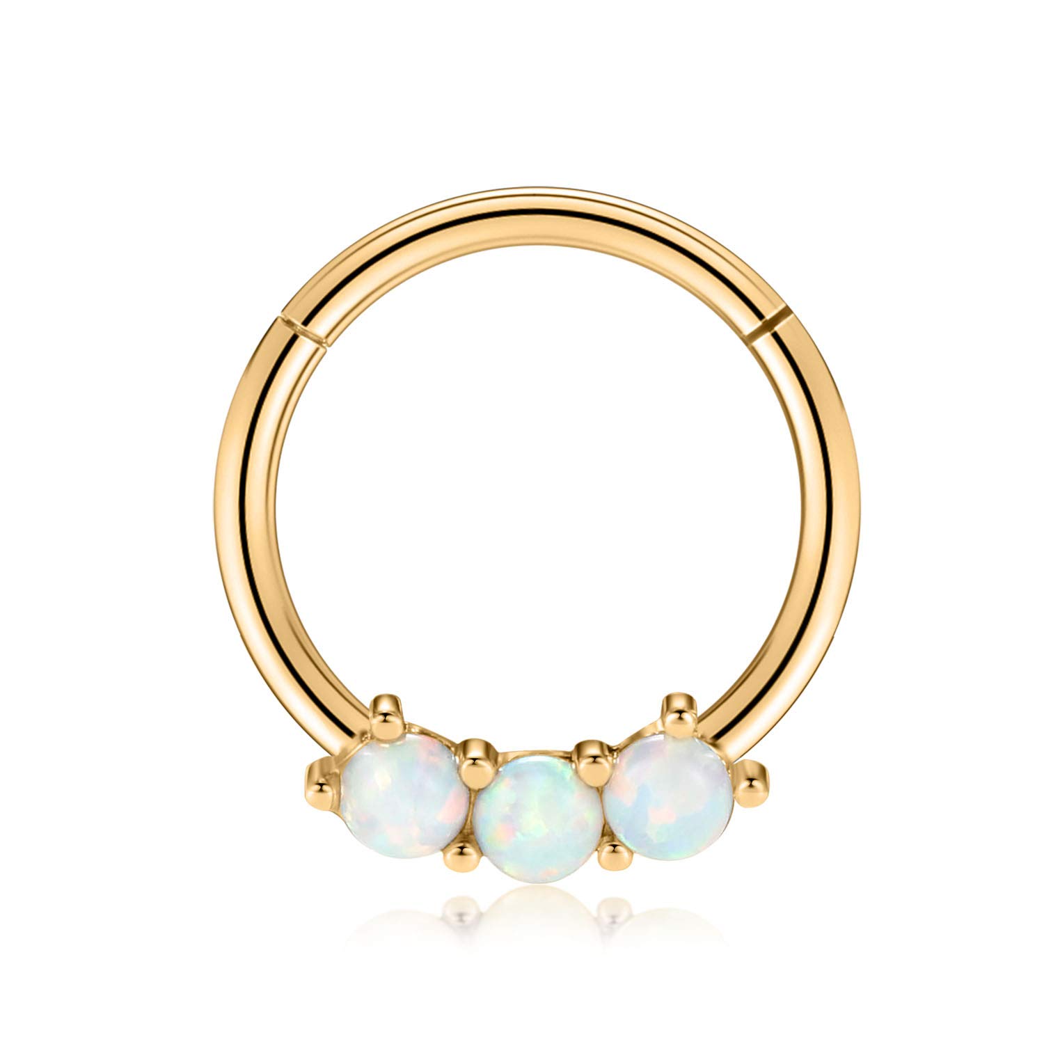hengkaixuan 16G Septum Nose Rings Hoop Daith Earrings Surgical Steel Septum Clicker Ring Hirned Segment Seamless Clicker Ring Conch Hoop Ring Unisex Earrings Hoop Daith Piercing Jewellery — view 31
