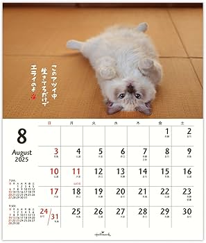 Amazon | ホールマーク 2025年 カレンダー 壁掛け 小 ほめにゃんこ 834