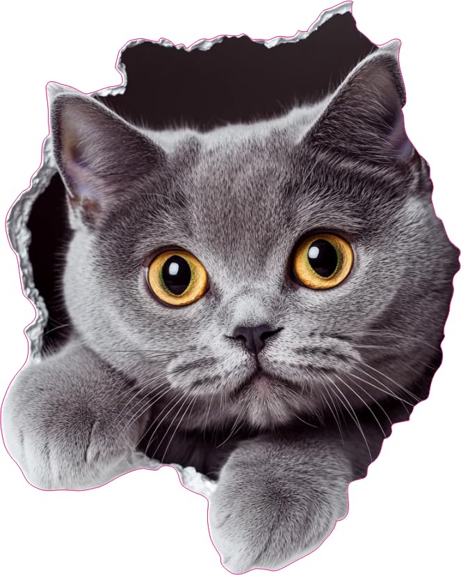 x4 Chartreux Cat Vinyl Stickers Cover Marks Non Transparent Waterproof Decals 1@20cm Tall & 3@7cm Tall Ideal for Toilet Car Phone case