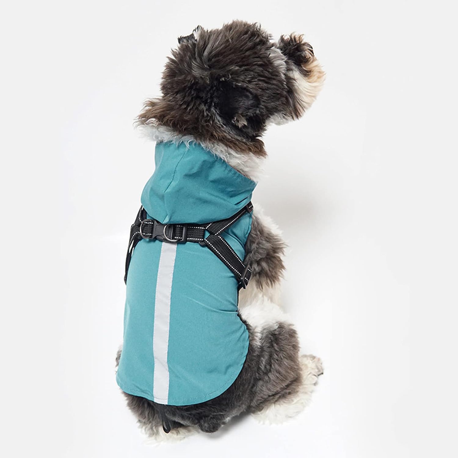 fetch dog coats