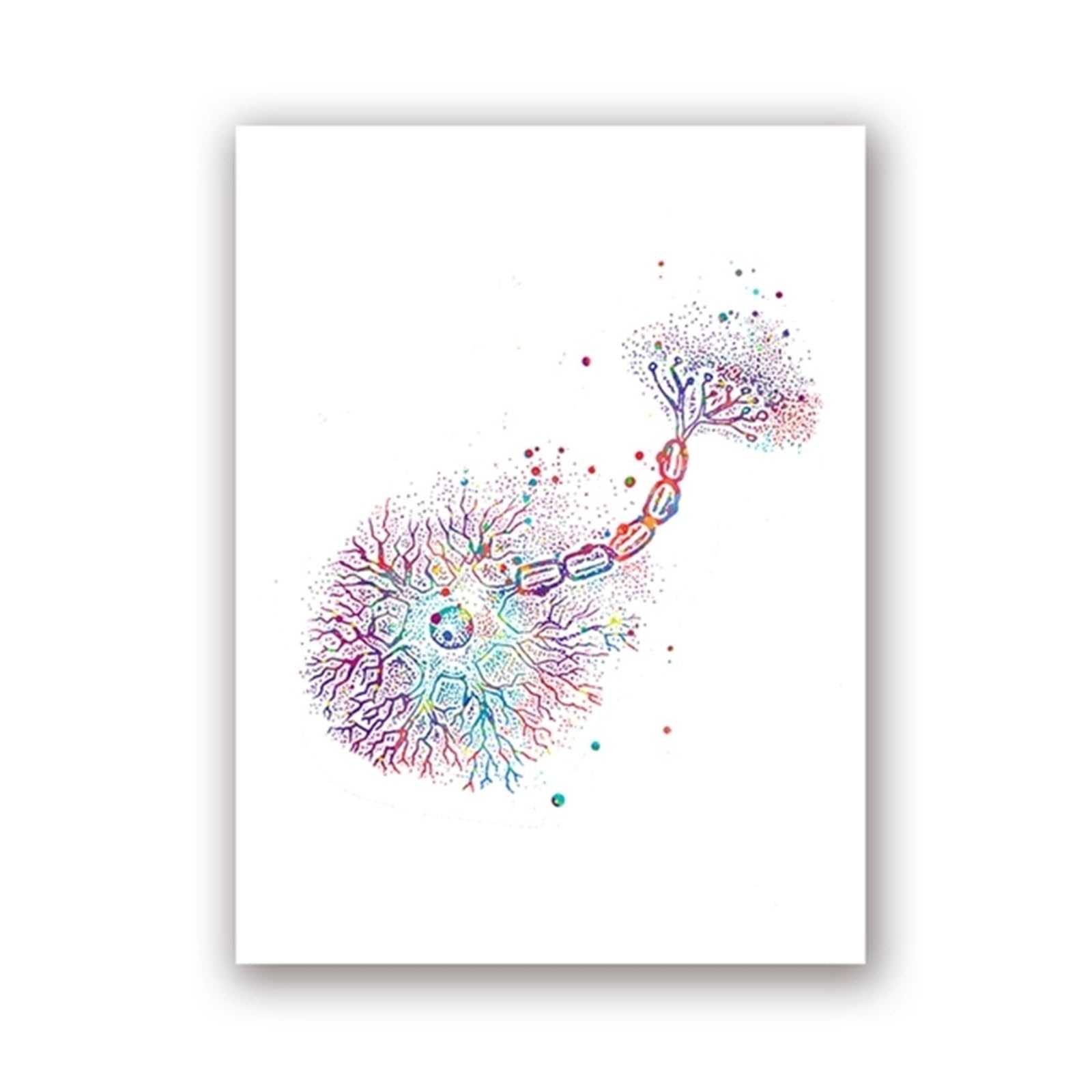 Neuroscience art mural : décorez votre cabinet de médecine avec cette toile
