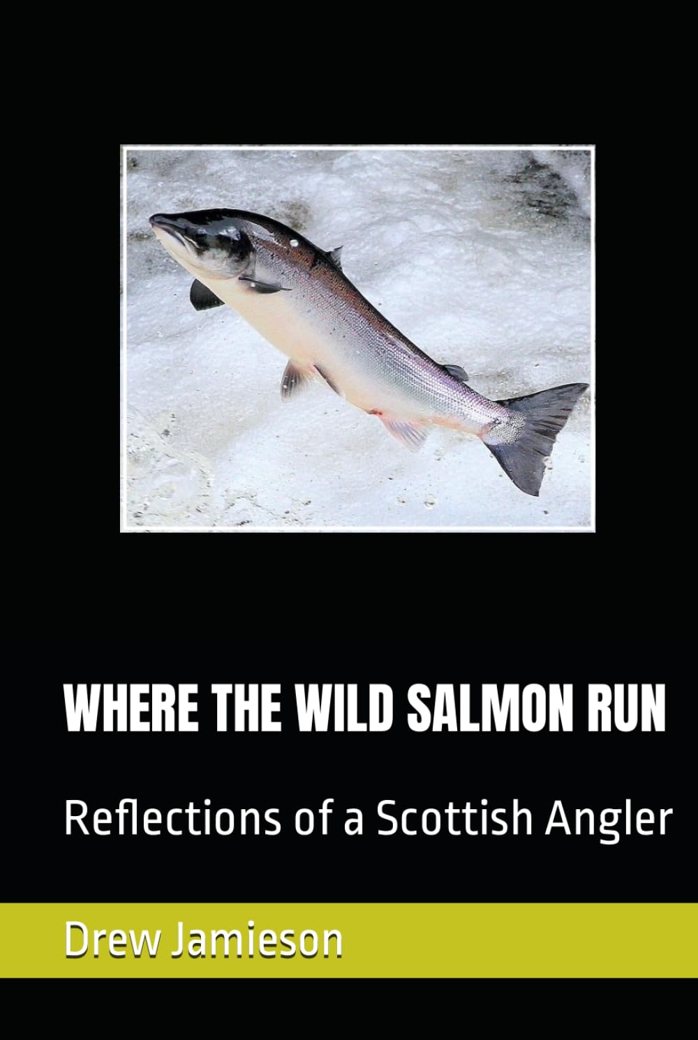 WHERE THE WILD SALMON RUN: Reflections of a Scottish Angler (Scotland's Salmon and Trout Fisheries)