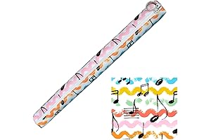 Portable Recorder Storage Case