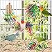 Morezi Bird Swing for cage Parakeet Parrot Swing Wood Ladder Toy Accessories Play Gym Budgie Perch Hammock Budgerigar Conure Cockatiel mynah Finches Toys for Small Medium Breeds