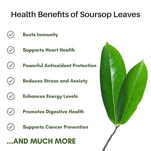 Miniatura 3 de Hojas secas de guanábana graviola en polvo para té, bebidas y licuados, 4 onzas (3.99 oz) Hojas de guanabana recién cosechadas para máxima potencia,