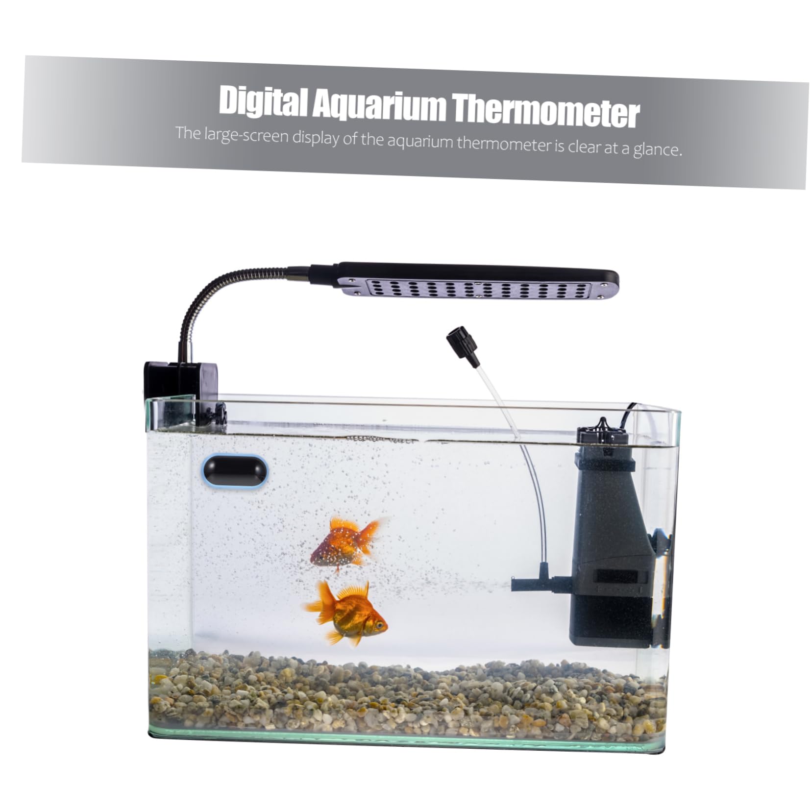Kisangel 3stücke Aquarium Thermometer Mit Hochpräzisem Sensor Und -display Für Aquarien Und Terrarien Installieren Langlebig Und Kompakt Zur Genauen Temperaturmessung Von Wasser