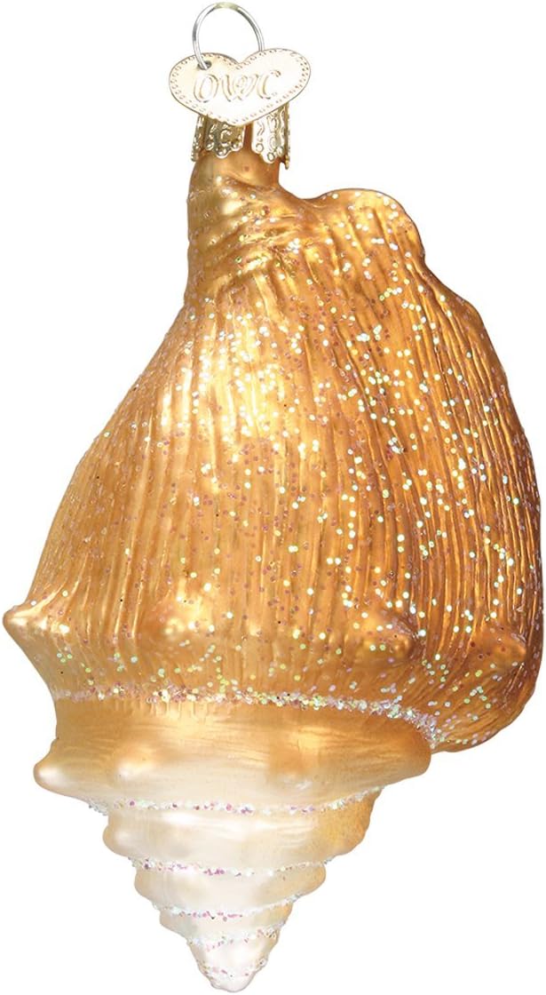 Old World Christmas Junonia Shell Glass Blown Ornament for Christmas Tree, Handcrafted Holiday Decoration, Seashell Collection