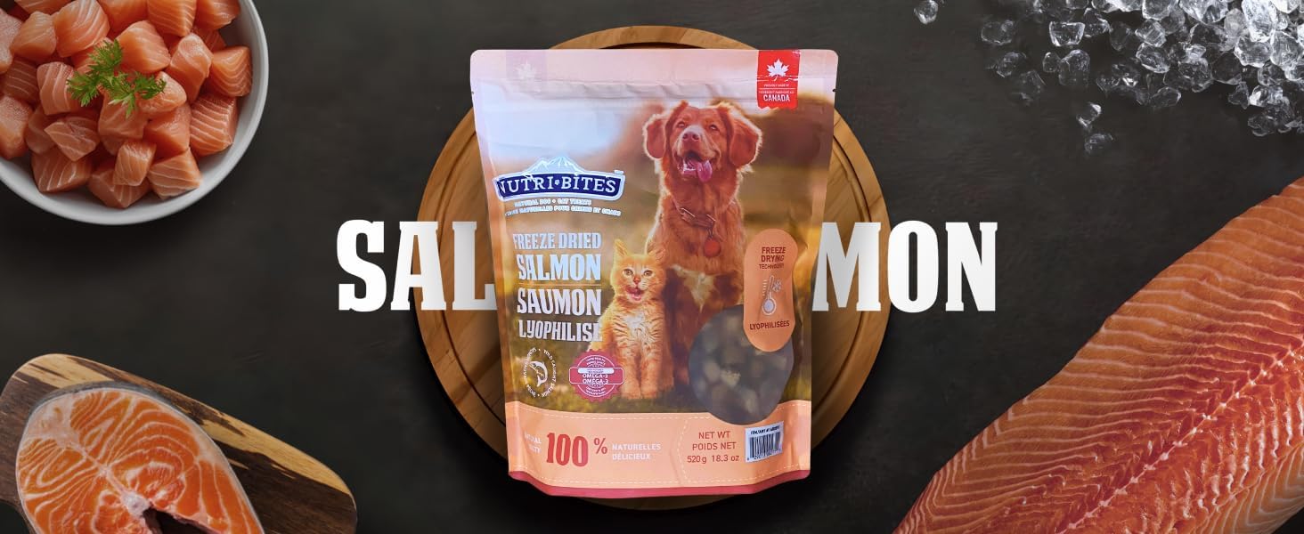 Nutri Bites - 18.3 OZ Value Pack - Freeze Dried Wild Caught Salmon Pets Treats, Rich in Protein and Omega-3, Support The Immune System, Protect Their Hair and Skin, for Dogs and Cats