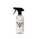Koala Eco Stainless Steel & Chrome Cleaner - Peppermint Essential Oil - 16oz Product Image 1