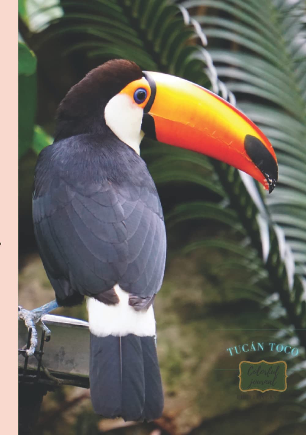 Hardcover Colorful journal, Bird lovers VIII, " Tucan toco": This is a beautiful and useful hardcover journal with a lovely cover design with colorful pages.