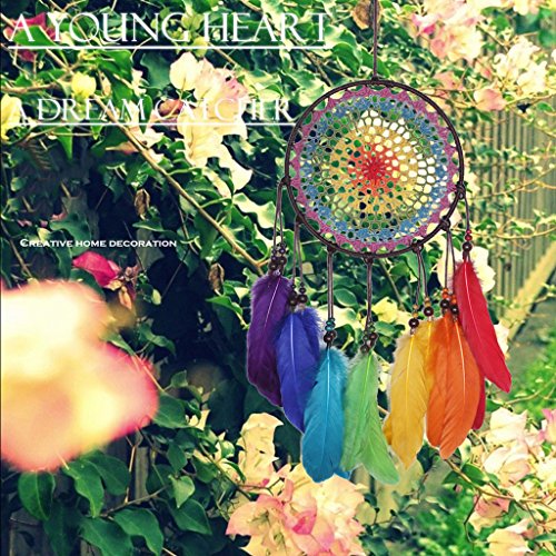 COODIVIE Apanhador de sonhos colorido feito à mão com penas para decoração de carro