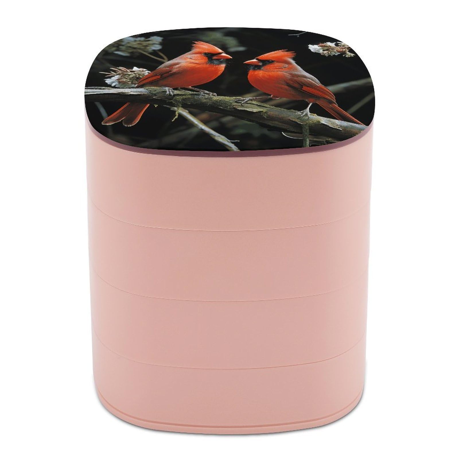 VstaDank Cardinals Birds Fauna Wild Jewelry Box with Mirror Travel Small Jewelry Case for Women 4-Layer Rotatable Jewelry Organizer Storage Box Portable Jewelry Storage Case for Rings Earrings