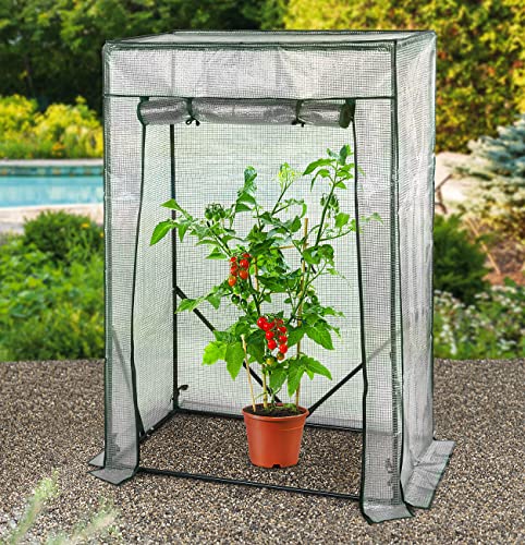 Foto von Royal Gardineer Tomatenhaus: Tomaten-Folien-Gewächshaus, aufrollbare Tür, 100 x 150 x 50 cm, weiß (Anzuchtgewächshaus)