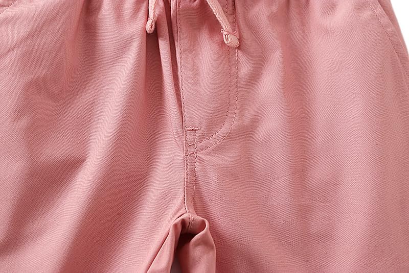 Boys Summer Outfit Set, Striped Short Sleeve Button Down Shirt with Pink Shorts, 2 Piece