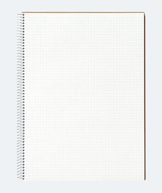 Maruman N245ES Notebook, Ring Notebook, 0.2 inches 5 mm, Graph Rule, Basic, A4, 80 Sheets