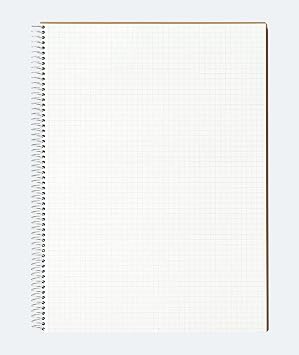 Maruman N245ES Notebook, Ring Notebook, 0.2 inches 5 mm, Graph Rule, Basic, A4, 80 Sheets