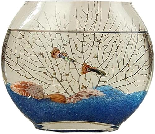 Rutexc ȉ~`̕ȃKX̋AeʁAeAfXNgbv