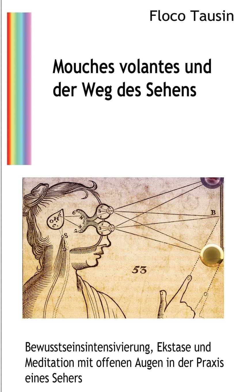 Mouches volantes und der Weg des Sehens: Bewusstseinsintensivierung, Ekstase und Meditation mit offenen Augen in der Praxis eines Sehers