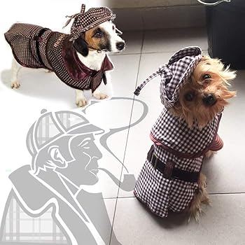 sherlock holmes dog outfit