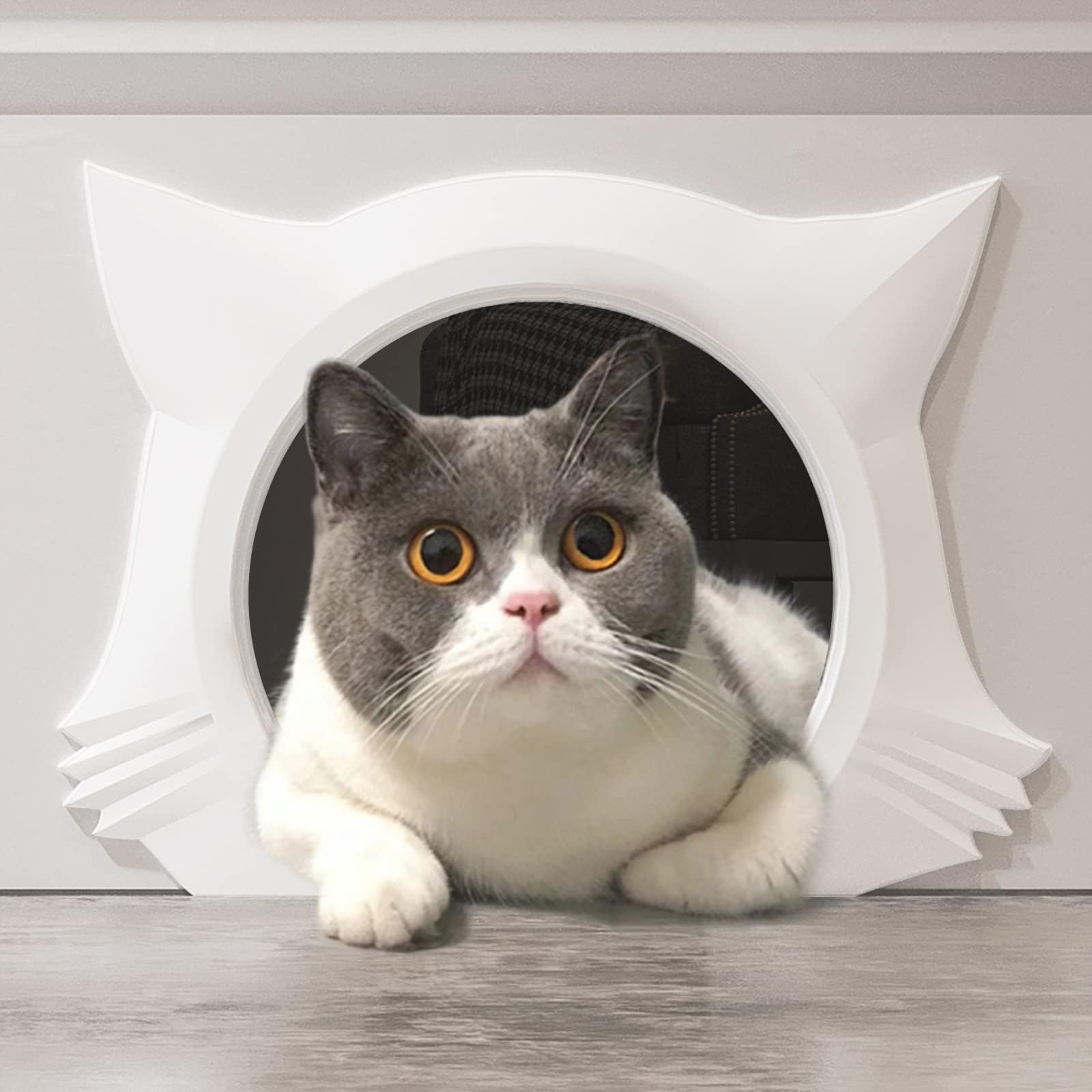 InTranscat Door Interior Door,Indoor Cat Door,Cute Kitty Door,Inside cat Door,pet Door for cat Hole pet Door for Cats up to 21 lbs (White)