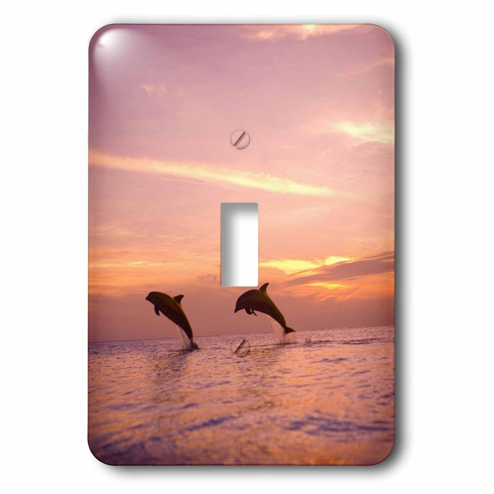 Interrupteur simple Dauphins Roatan Honduras Sa12 Swe0008 par 3dRose