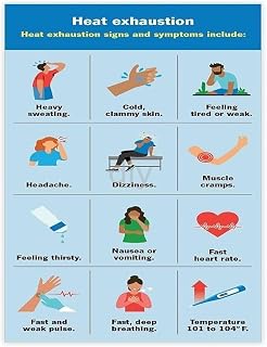 Heat Illness Symptoms Signs Educational Poster for Workplace Safety Office Home School Decor(Unframed,08x12inch(20x30cm))