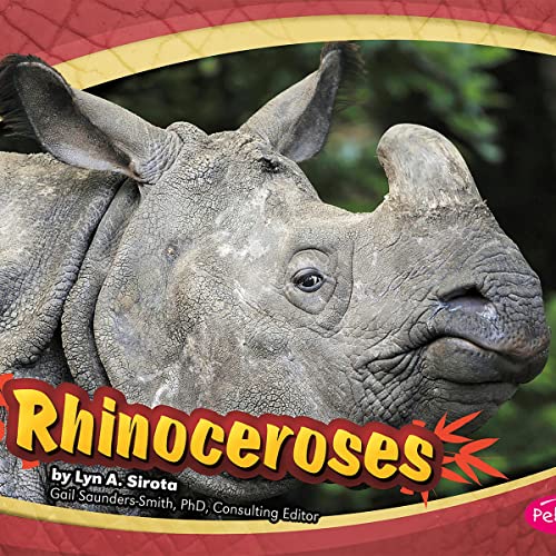 Rhinoceroses by Joanne Mattern episode artwork