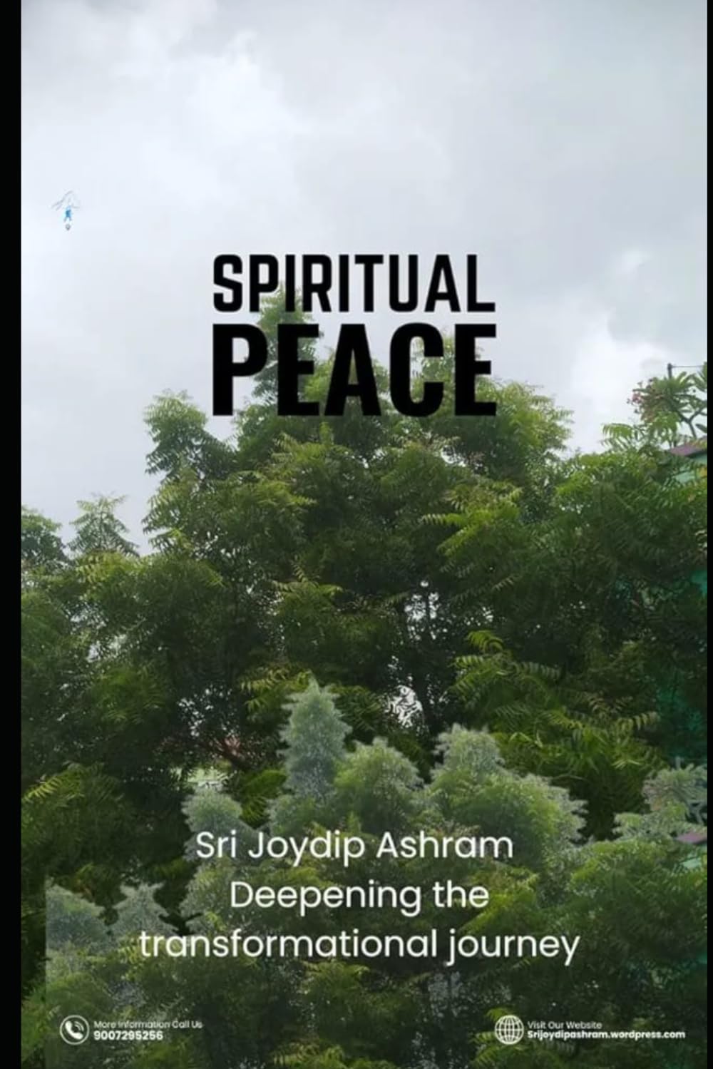 Sri Joydip Ashram: Deepening the Transformational Journey: Whispers of Wisdom, Waves of Awakening