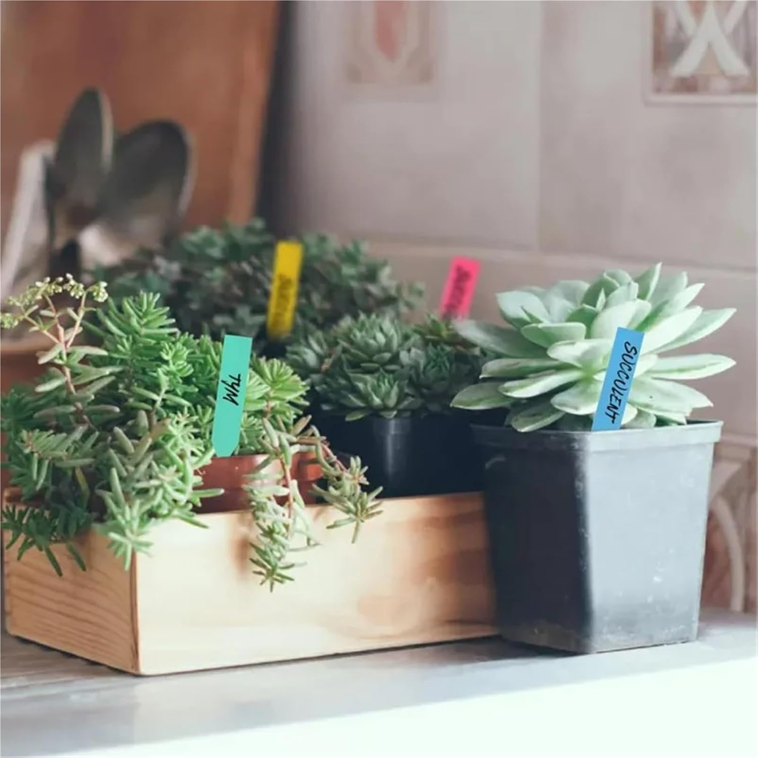 Plant Tags 200pcs Succulent Plant Label Garden Waterproof Ground Insert Labels(Pink)