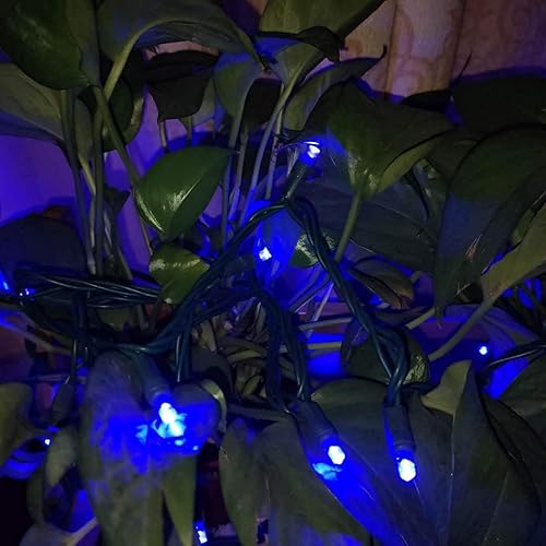 Miniatura 5 de Everfit Lighting - Luces pequeñas de Navidad, serie para exteriores, para patio, jardín, fiestas y decoración de temporada, 50 luces LED, cable