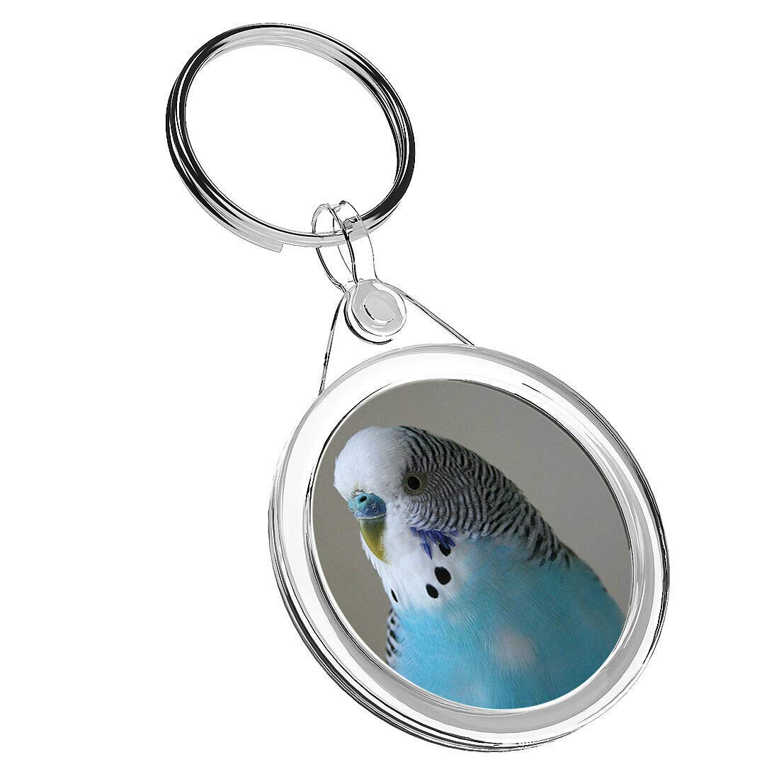Destination Vinyl Keyrings Unisex Kids Multi 1 X Blue Budgie Parrot Pet Bird - Keyring Ir02 Dad Kids Birthday #14623